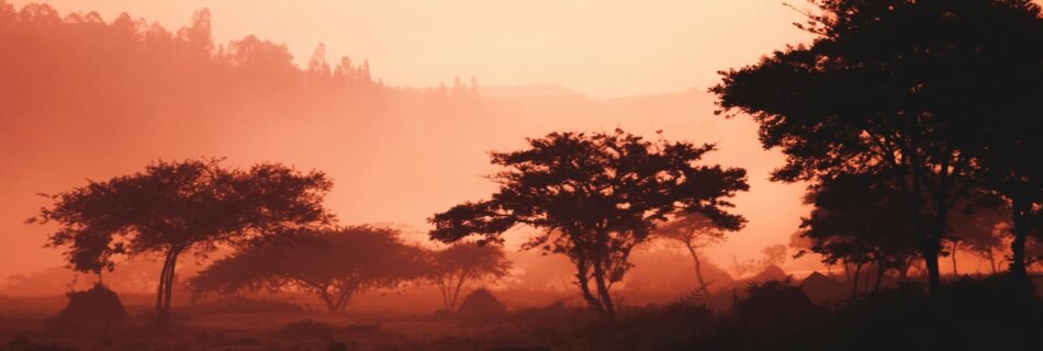 株式会社シセイラボ マーケティング ブランディング 専門会社 山形