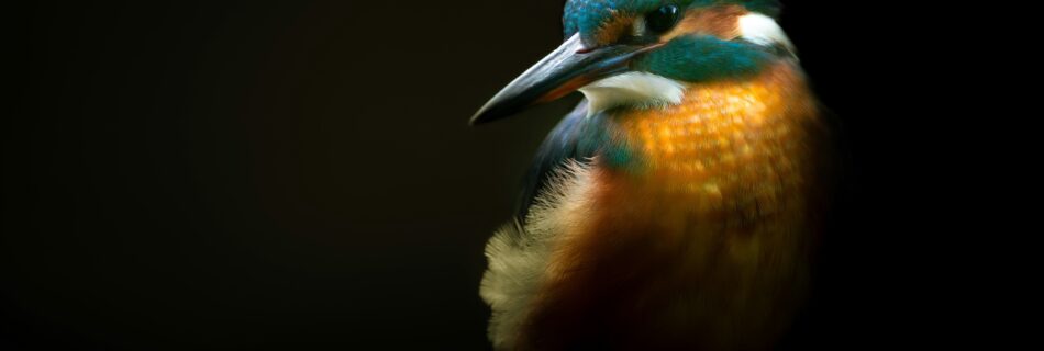 プロジェクトマネジメント 株式会社シセイラボ マーケティング ブランディング 専門会社 山形 株式会社SHISEILABO プレスリリース ブランディング山形市