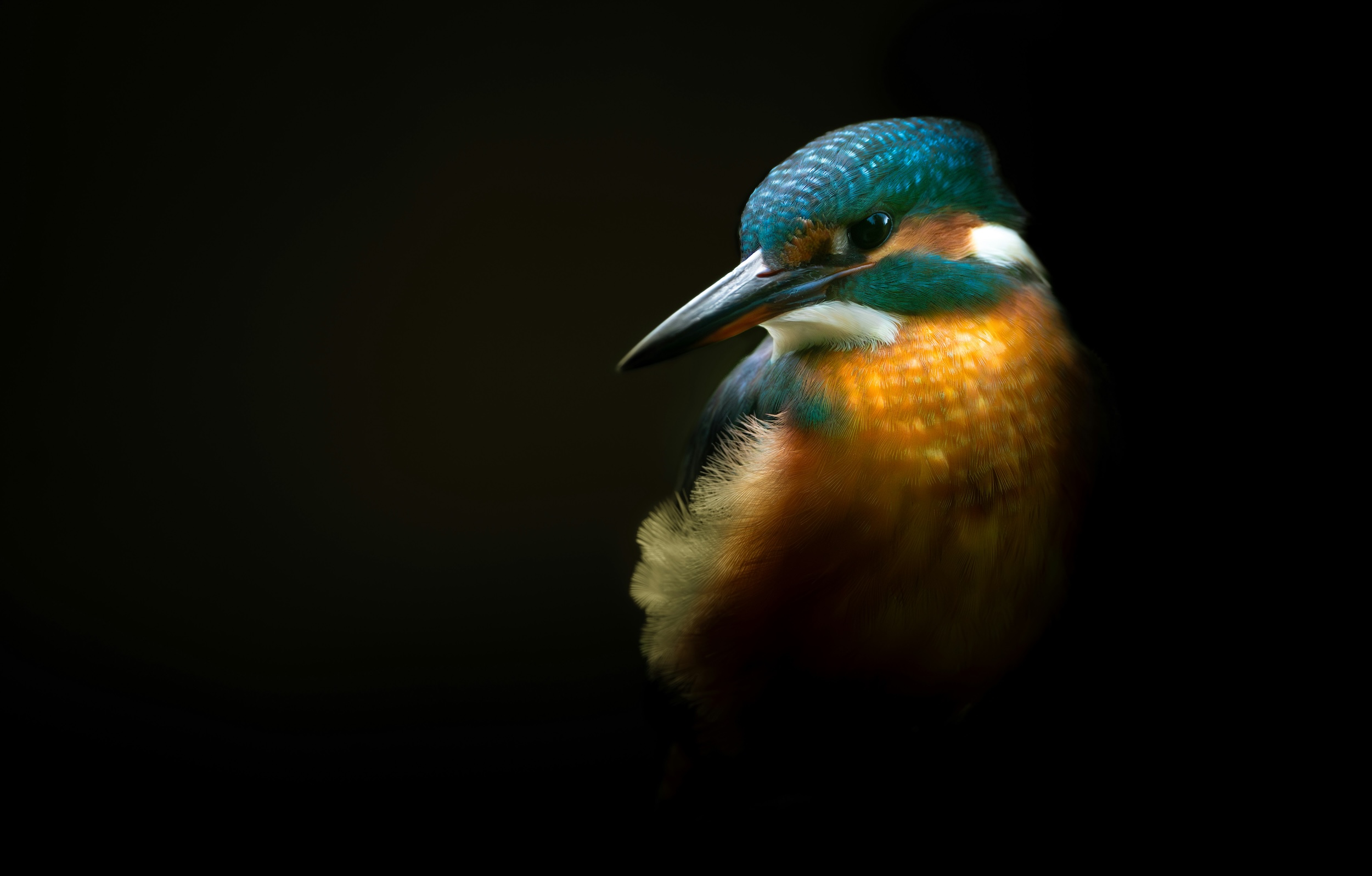 採用ブランド開発パッケージのご案内 ─ 35万円で採用の「伝え方」を変える