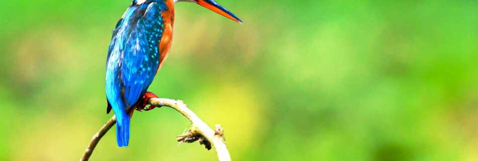 プロジェクトマネジメント 株式会社シセイラボ マーケティング ブランディング 専門会社 山形 株式会社SHISEILABO プレスリリース ブランディング山形市