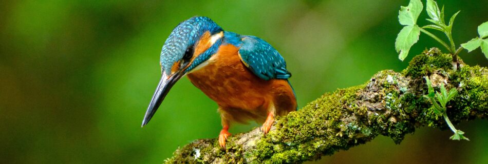 プロジェクトマネジメント 株式会社シセイラボ マーケティング ブランディング 専門会社 山形 株式会社SHISEILABO プレスリリース ブランディング山形市